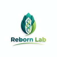 Rebornlab